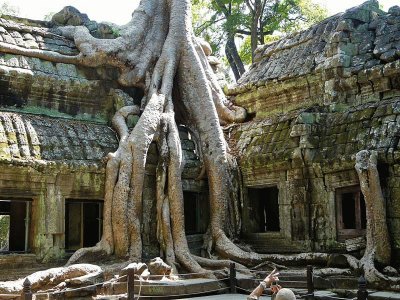 bayon