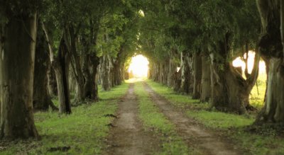 Estancia en ChascomÃºs. Buenos Aires. Argentina