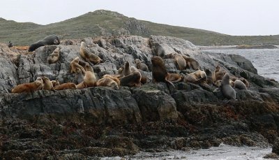 Cerca de Ushuaia. Tierra del Fuego. Argentina