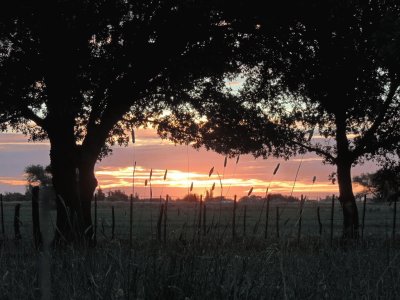 Gaiman. Chubut. Argentina