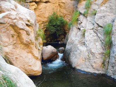 En Cafayate. Salta. Argentina