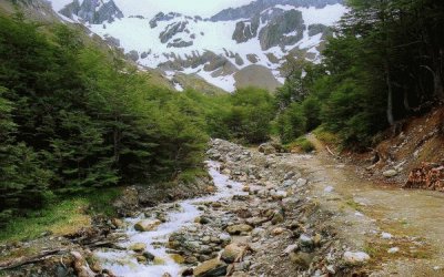 Cerca de  Ushuaia. Tierra del Fuego. Argentina