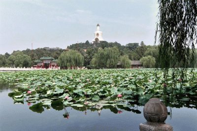 parco beihai