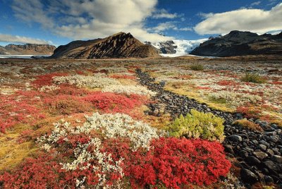 Islandia