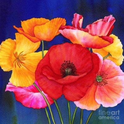 Poppies