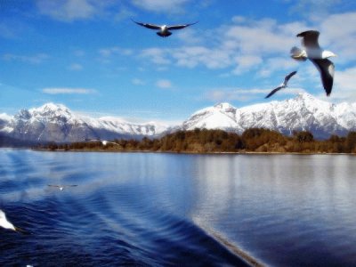 Lago Nahuel Huapi. Patagonia Argentina