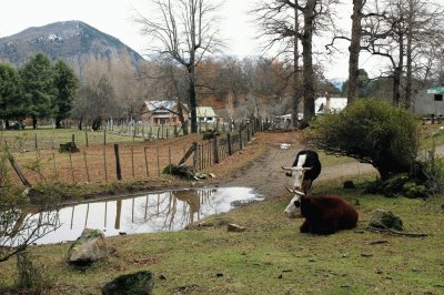 Cerca de San MartÃ­n de los Andes. NeuquÃ©n. Argentina