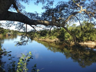 Riachuelo en la Provincia de Corrientes. Argentina