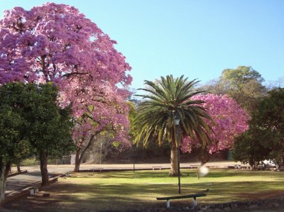 En Rosario de la Frontera. Salta. Argentina