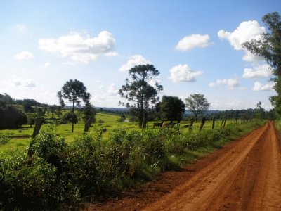 En Puerto Rico. Misiones. Argentina