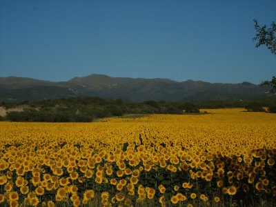 En Alta Gracia. CÃ³rdoba. Argentina