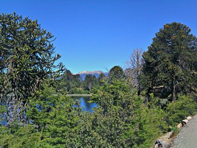 Villa Pehuenia. NeuquÃ©n. Argentina