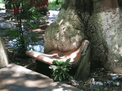 Ã¡rbol almorzando un banco