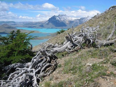 Lago Belgrano. Patagonia Argentina