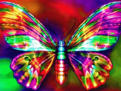 Colorful Butterfly