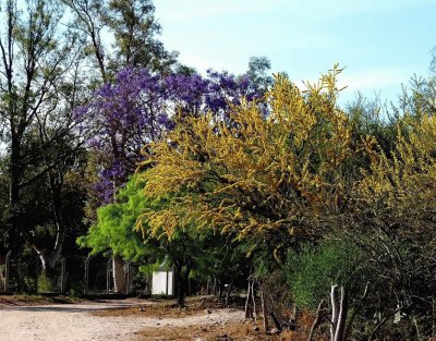 En San Antonio. Catamarca. Argentina