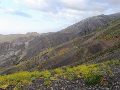 damavand monte