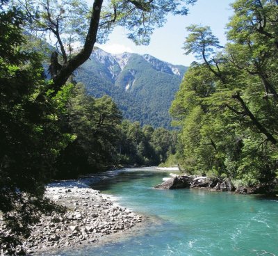 PN Los Alerces. Chubut. Argentina