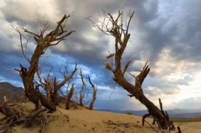 valley of death- death valley (2)