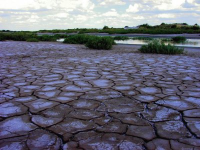 Orillas del Saladillo. Santiago del Estero. Argentina