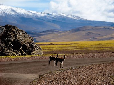 En la RN 60. Catamarca. Argentina