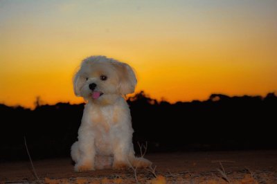 Luna ao por do Sol