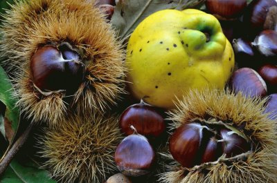 frutas de otoÃ±o