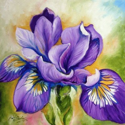 Purple Iris Wildflower