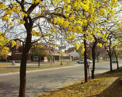 En San Miguel de TucumÃ¡n. Argentina