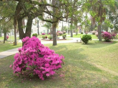 Romang. Santa Fe. Argentina