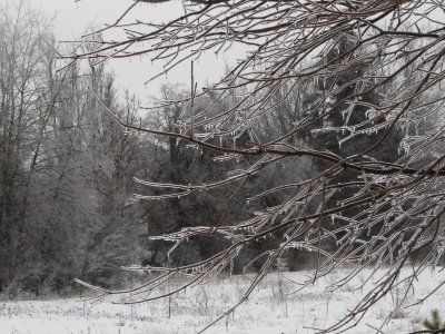 After the ice storm