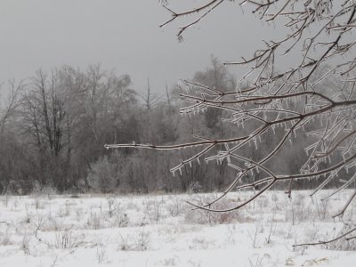 Across the field