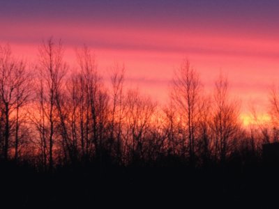 Sunrise over the field