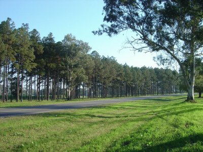 En Obanta. TucumÃ¡n. Argentina