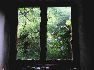 ventana a la naturaleza