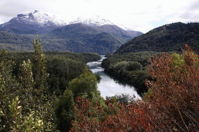 PN Los Alerces. Chubut. Argentina