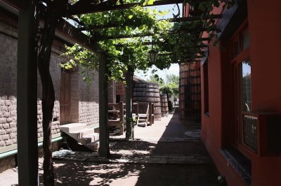 Bodega sanjuanina. Argentina