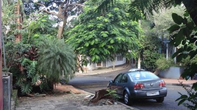 En Posadas. Misiones. Argentina