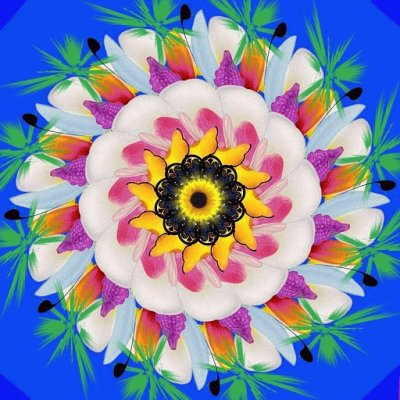 Mandala Flores