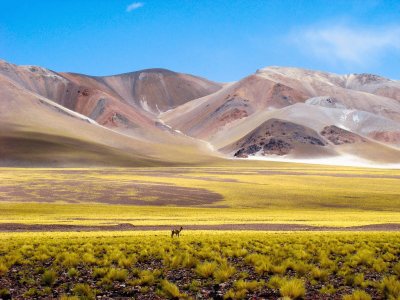 A la vera de la Ruta 60. Catamarca. Argentina