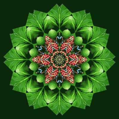 mandala