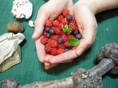 frutos del sur argentino