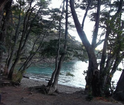 Lago GutiÃ©rrez. Provincia de RÃ­o Negro. Argentina