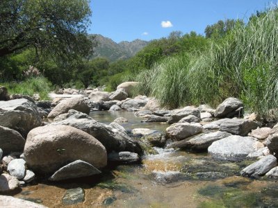 En Cortaderas. San Luis. Argentina