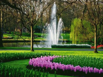 Keukenhof Gardens-Holland