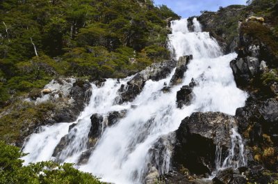 En Tierra del Fuego. Argentina