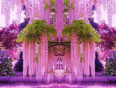 Wisteria Garden-Japan