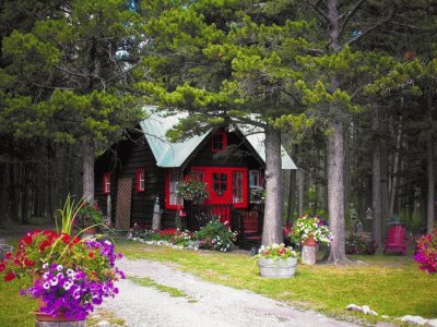 Cozy Cabin Retreat