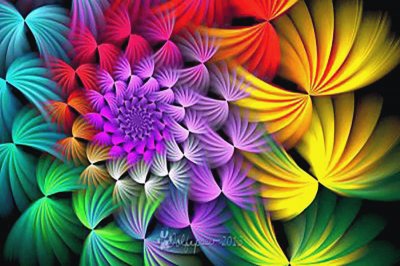 colores en flor