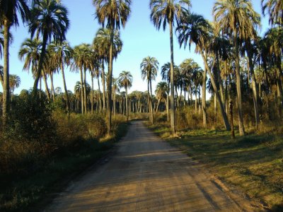 En la Provincia de Entre RÃ­os. Argentina